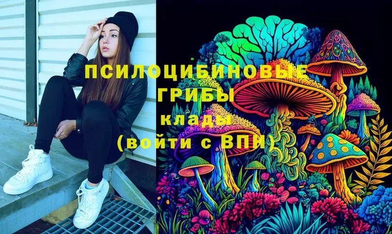 Псилоцибиновые грибы мицелий  Белый 